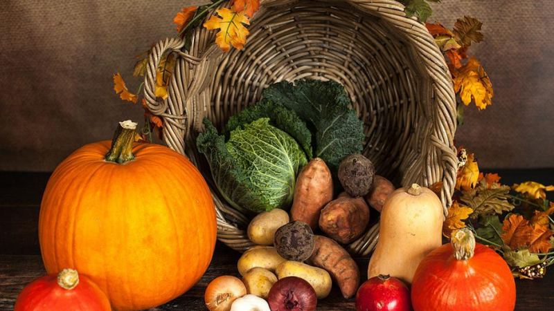Fall Vegetables to Eat: The Best Veggies to Enjoy This Season